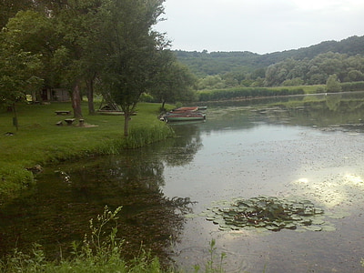 Lake, visvijver, natuur, reflectie, Park, bos, boten