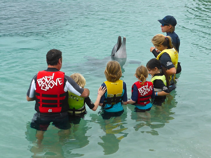 Dolphin, ytelse, dyreliv, akvatiske, spill, Marine, barn