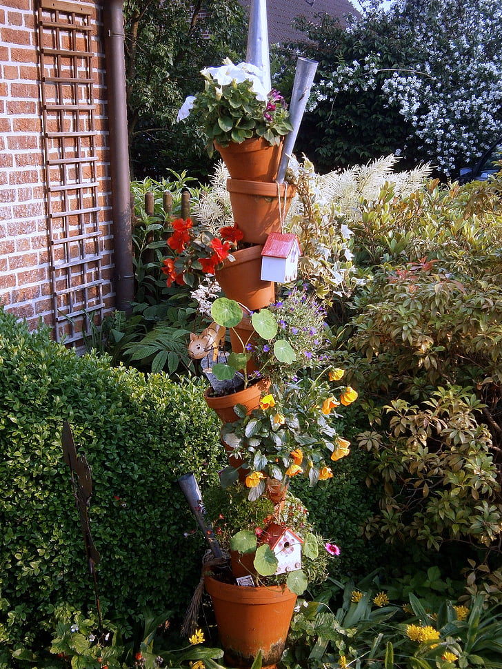 Urtepotter, plante, farverige, blomst, Flower pot, udendørs