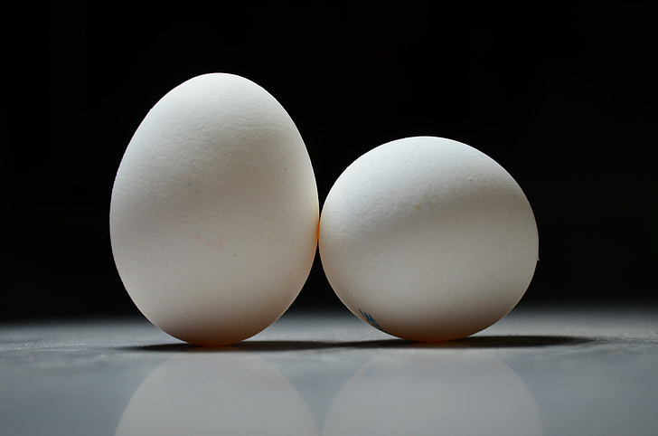 eggs, egg, easter, white, of chickens, focus, bw