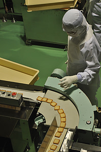 conveyor, japan, hokkaido, cloth, worker, factory