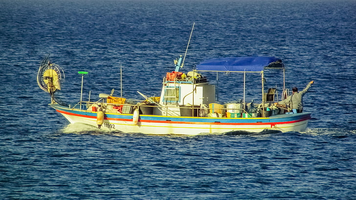 fiskeri, fiskekutter, båd, havet, traditionelle, fisker, Cypern