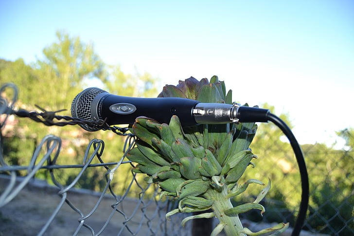microphone, artichoke, nature, technology