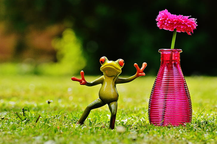 カエル, ジェスチャ, 平和, 花瓶, 花, 面白い, かわいい