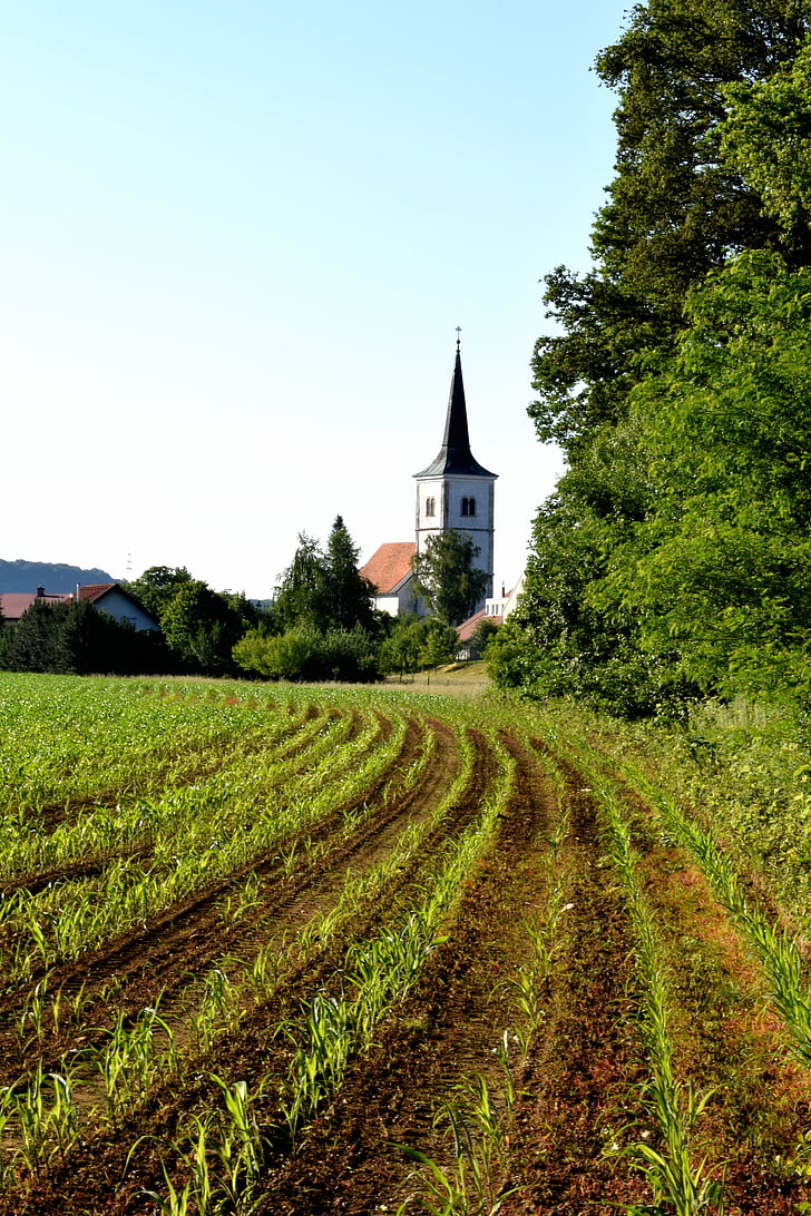 Gereja, desa, hijau, negara, Rual, pedesaan, pertanian