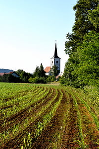 Iglesia, aldea, verde, país, rual, campo, agricultura