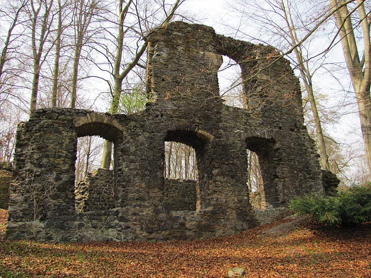 Altzella abbey park, jesień, ruiny