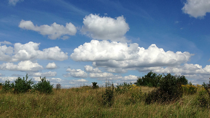 paysage, Sky, nuages, Meadow, nature