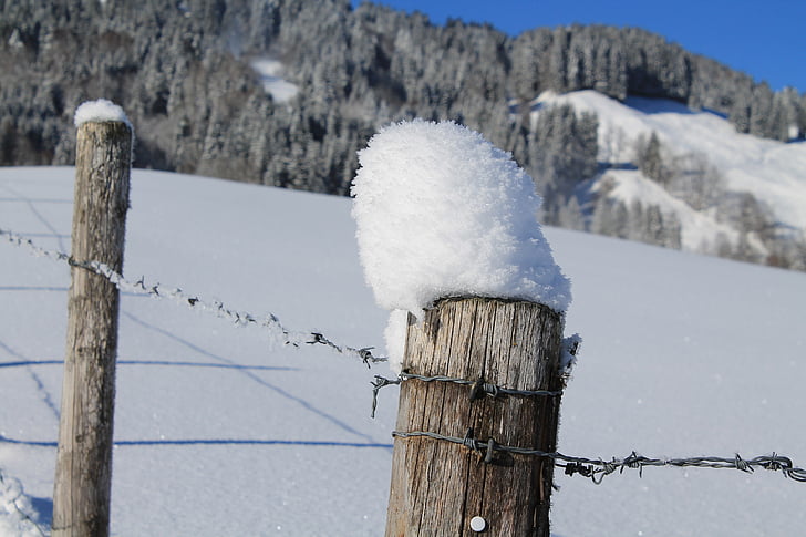 kup, zimsko razpoloženje, bodečo žico, sneg, ograje, gole žično, pozimi