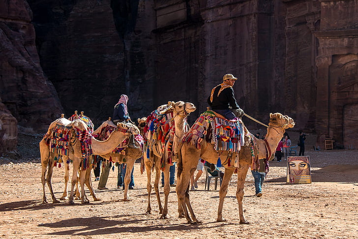 Ιορδανία, πέτρα, καμήλα, δρομάδες, έρημο