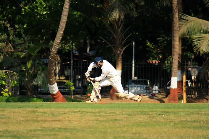 cricket, stroke, batting, batsman, player, sports, ball game