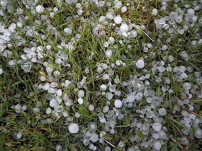 toča, hailstones, vreme, vreme v juniju, nevihta, oborino, trava