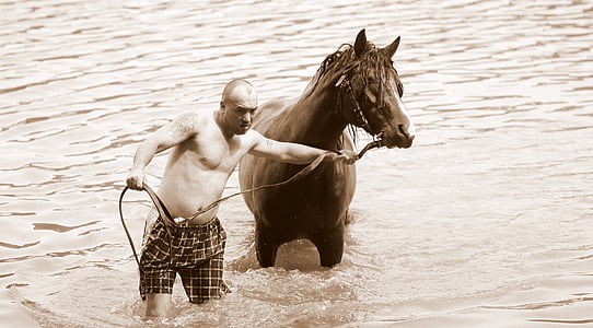 cheval, homme, eau, salle de bain, été