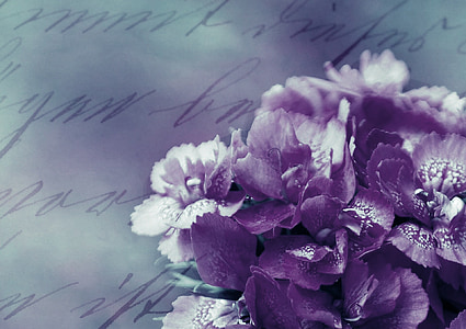 фоновое изображение, цветок, фиолетовый, романтический, Природа, стола