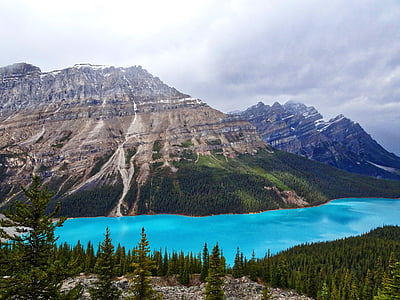 湖, peyto, 加拿大, 洛基山, 蓝色, 翡翠, 山脉