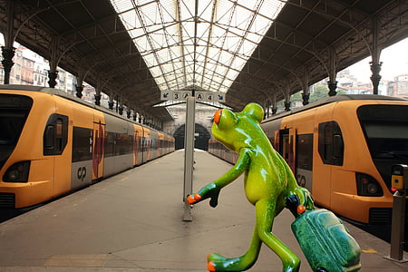 frog, farewell, travel, funny, railway station, fun, go away