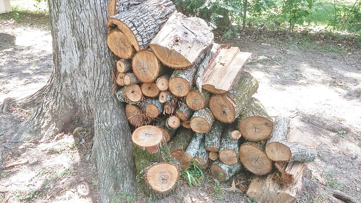 firewood, wood, wood pile, wood heap, stacked, lumber, timber