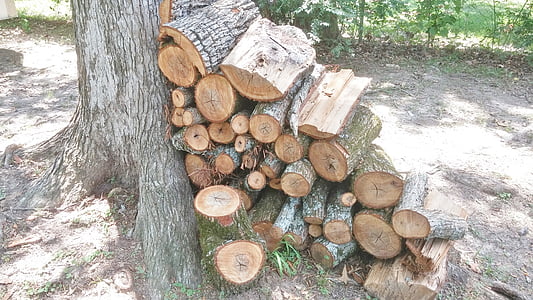 drva za ogrjev, drvo, dasaka, drvo hrpa, složeni, Drvena građa, drvo