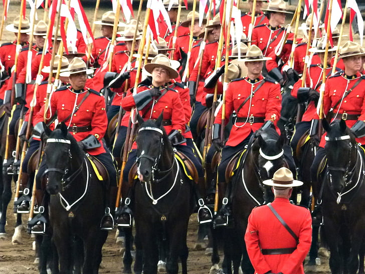 кралски canadien монтирани полицията, тълпата, народи, Калгари, паническо бягство, Канада, туристическа атракция