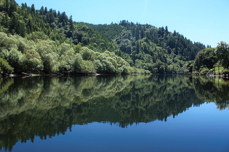 lakeside, reflective, trees, forest, water, crisp, escape