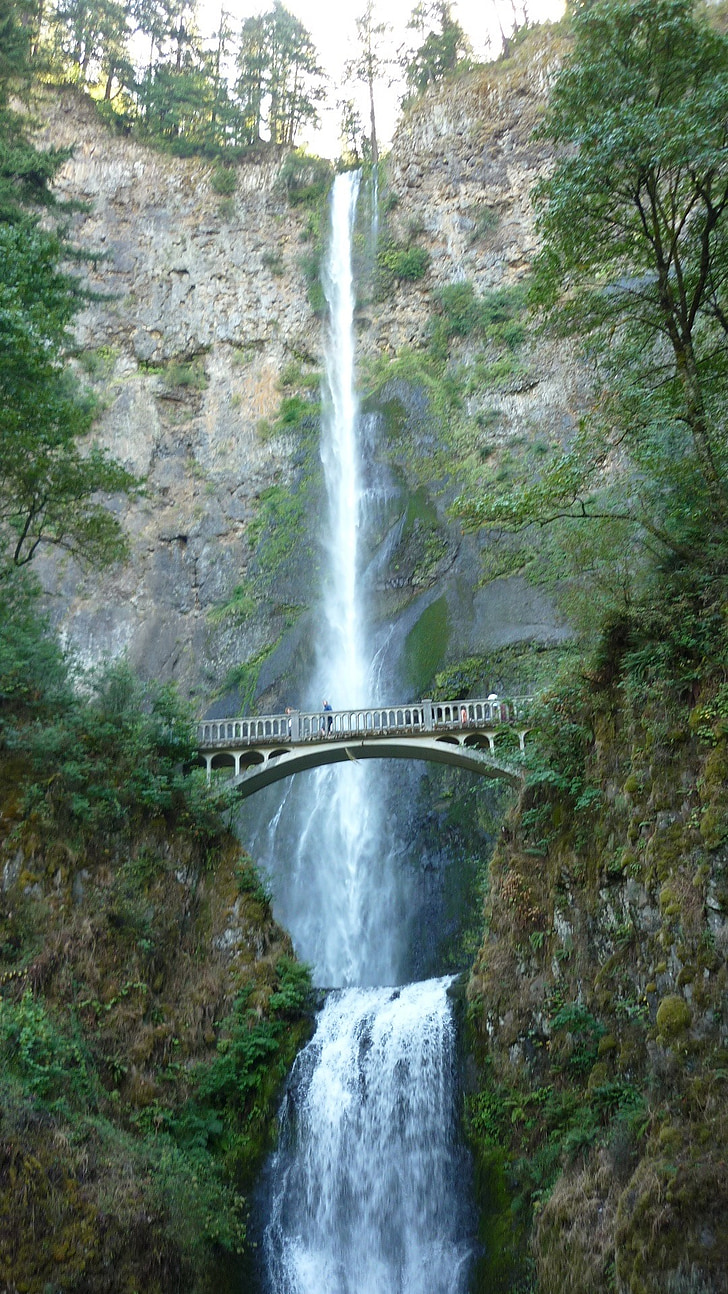 Multnomah, Falls, stenen brug, landschap, natuur, water, Oregon