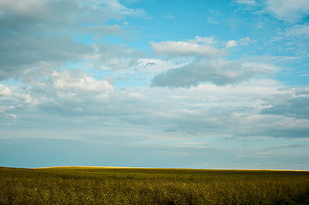 agriculture, clouds, country, countryside, cropland, daylight, environment