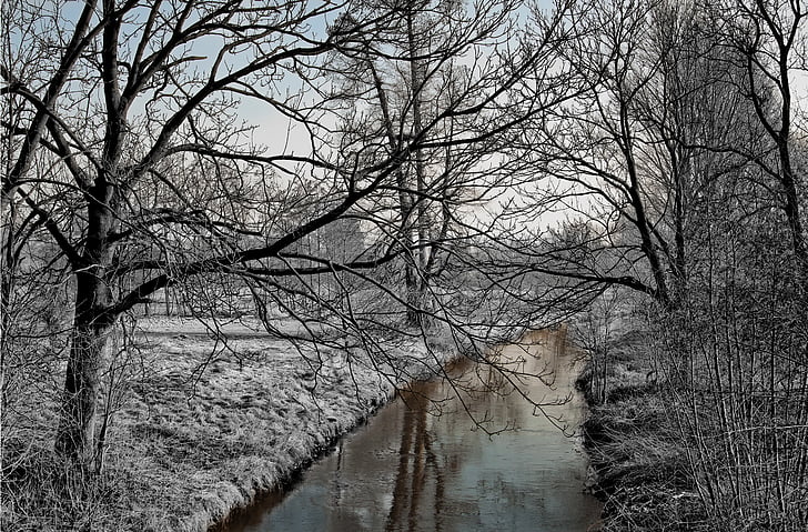 Fluss, Winter, Frost, Bäume, Natur, Schnee, Landschaft