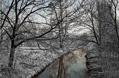 riu, l'hivern, gelades, arbres, natura, neu, paisatge