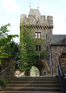 slott, tornet, fästning, knight's castle, Sachsen, murgröna