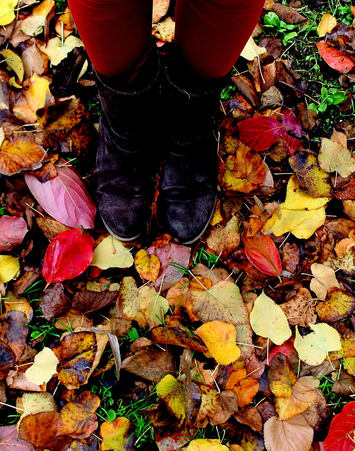 листья, Осень, ноги, футов, Прато