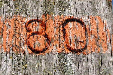 dřevo, oranžová, osmdesát, pláž, číslo, rustikální, dřevo - materiál
