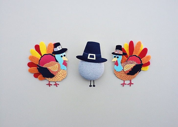 Thanksgiving, Turkije, vakantie, diner, traditionele, herfst, Studio schoot