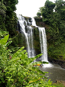 waterfall, falla, cascades, water, jungle, forest, rocks