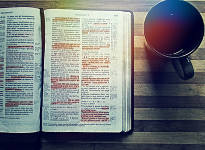 Bibelen, kaffe, læsning, drink, bog, tabel, træ