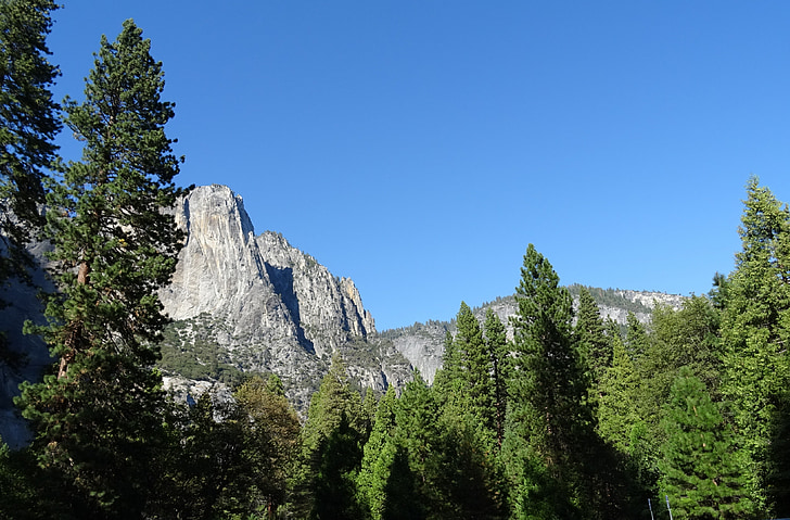 dolina, vegetacije, kadila cedre, Yosemite, National park, rock formacije, gorskih