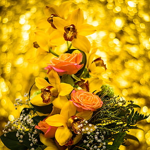 fiori, Mazzo di fiori, bella, isolato, giallo, natura, fiore