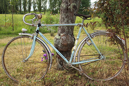 biciclete, cer albastru, Dom, natura, Lunca, copac, verde