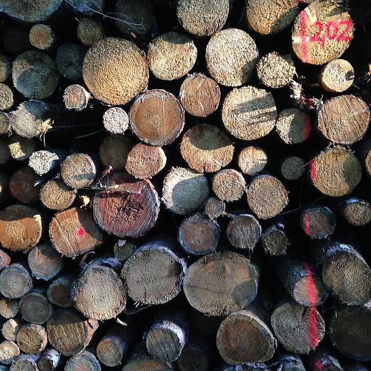 troncos de los árboles, madera, bosque, stock, naturaleza, registro, marrón