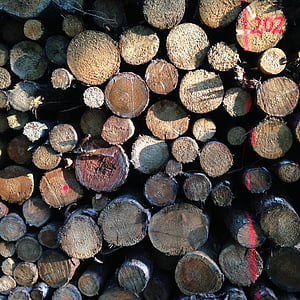 boomstammen, hout, bos, voorraad, natuur, logboek, bruin