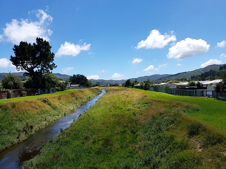 paisaje, Creek, Río, cielo, follaje, hierba, Wellington