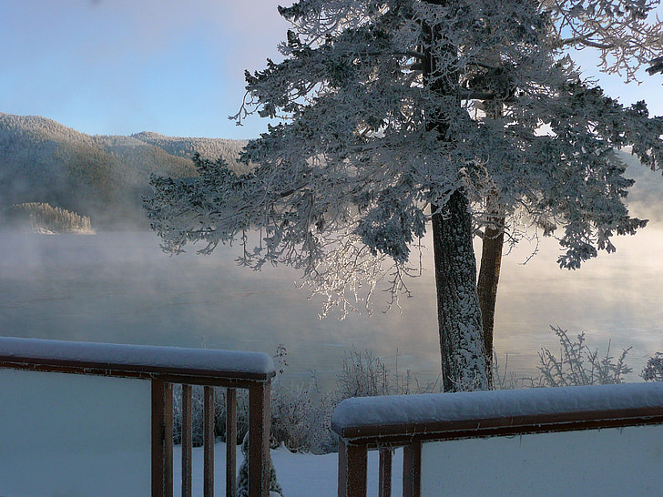 Inverno, temporada, gelado, árvores, natureza, Lago de Canim, Colúmbia Britânica