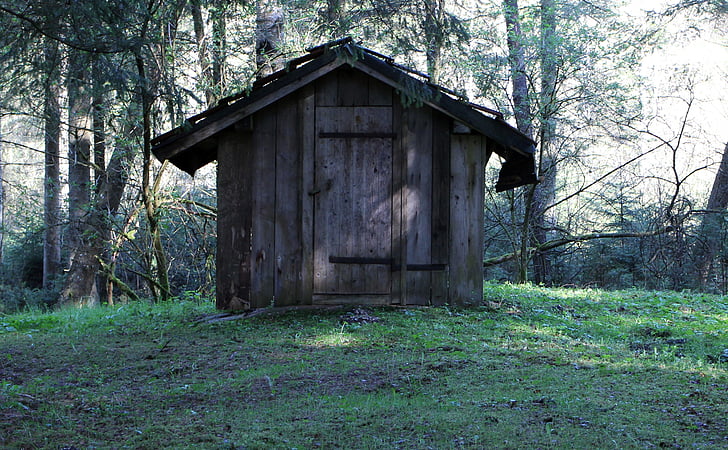 capanna, Casa di riposo, Baita di montagna, lodge in foresta, log cabin, foresta, scala