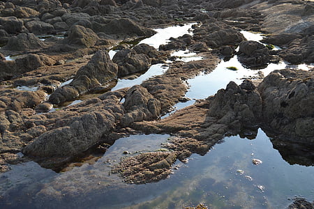 Samarreta, Roca, piscina, l'aigua, natura, al costat del mar, Mar