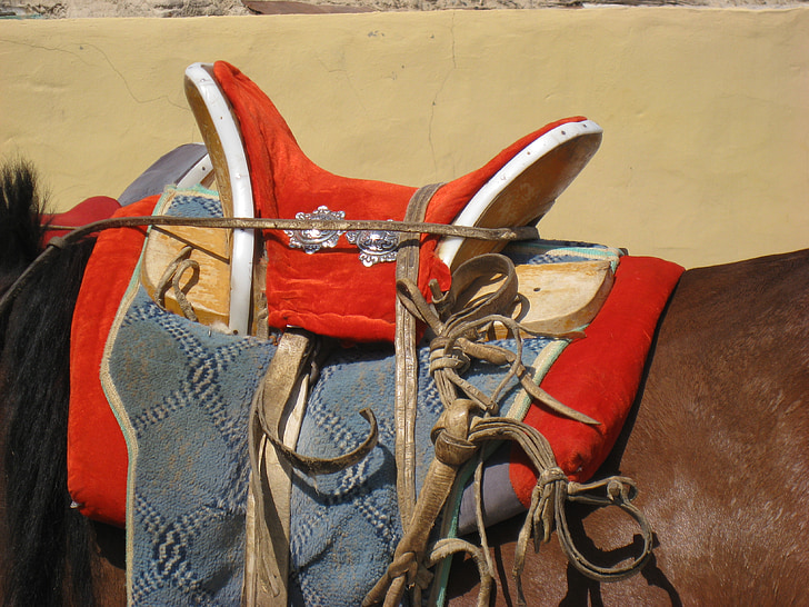 saddle, horse, mongolia