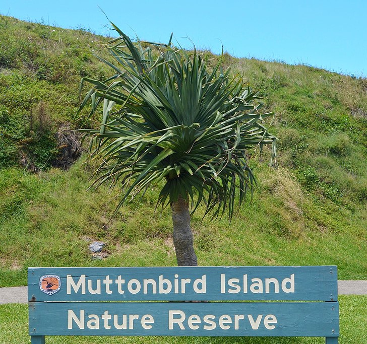 Muttonbird, Australia, Muttonbird island, rezerwat przyrody