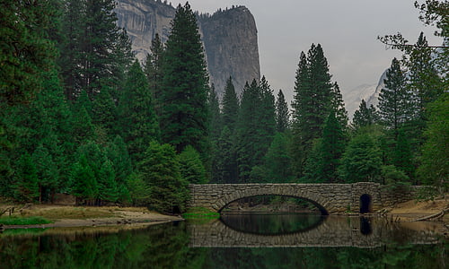 puente, bosque, montañas, naturaleza, reflexión, Río, rocas