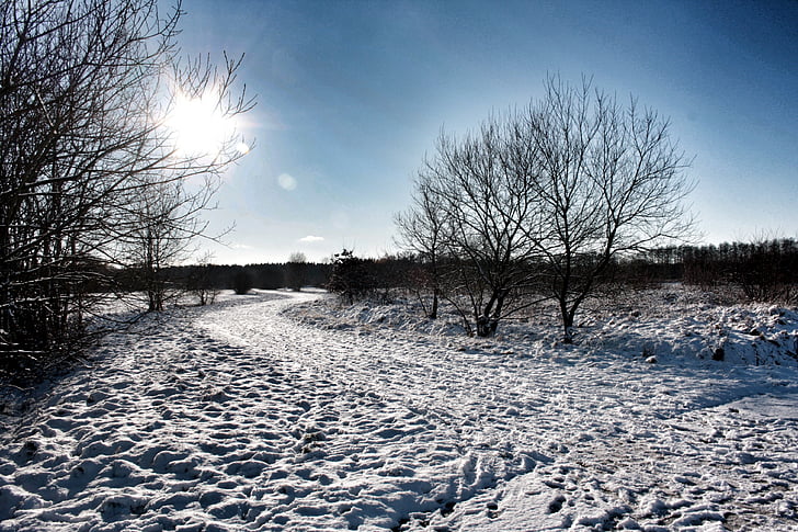 friedrichsfeld, snow, snow landscape, winter, wintry, snowy, winter mood