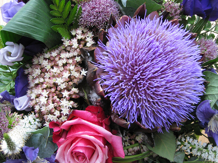 violetinė, puokštė, violetinė, gėlės, Strauss, spalvinga, balta