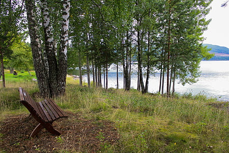 bench, lake, nature, water, park, fall, autumn