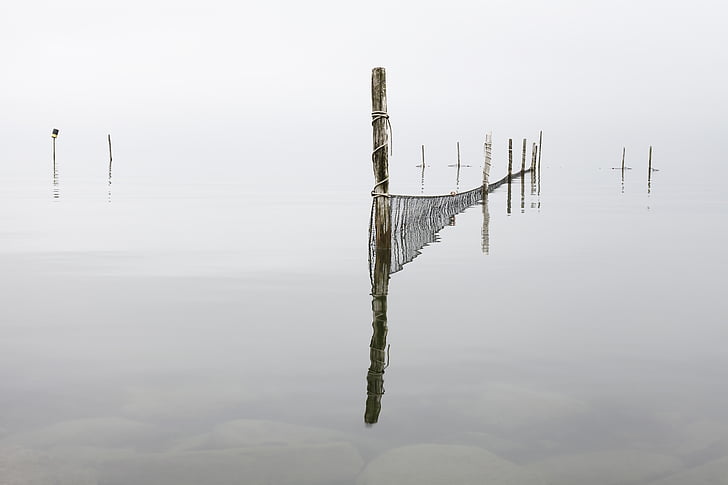 gard, Lacul, net, reflecţie, Râul, corzi, apa